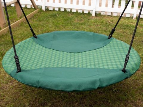 Nest swing pic