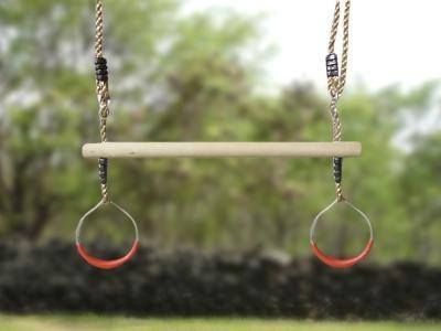 Ring Trapeze